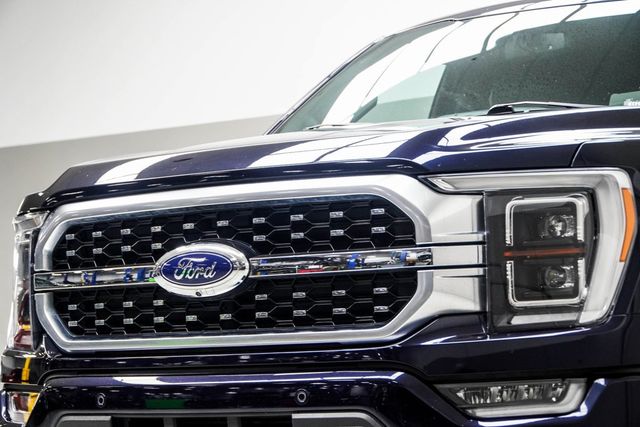 2021 Ford F-150 Platinum - 22915911 - 1