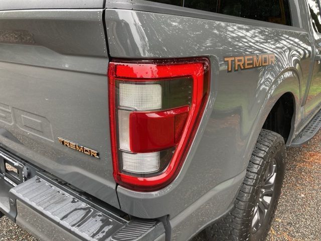 2021 Ford F-150 Tremor 4WD SuperCrew 5.5' Box - 22934979 - 13
