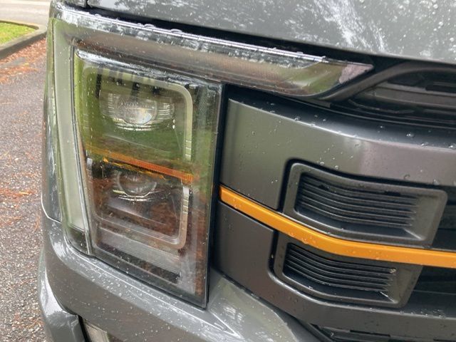 2021 Ford F-150 Tremor 4WD SuperCrew 5.5' Box - 22934979 - 8