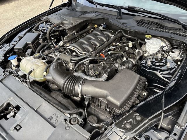 2021 Ford Mustang GT Fastback - 22752517 - 9