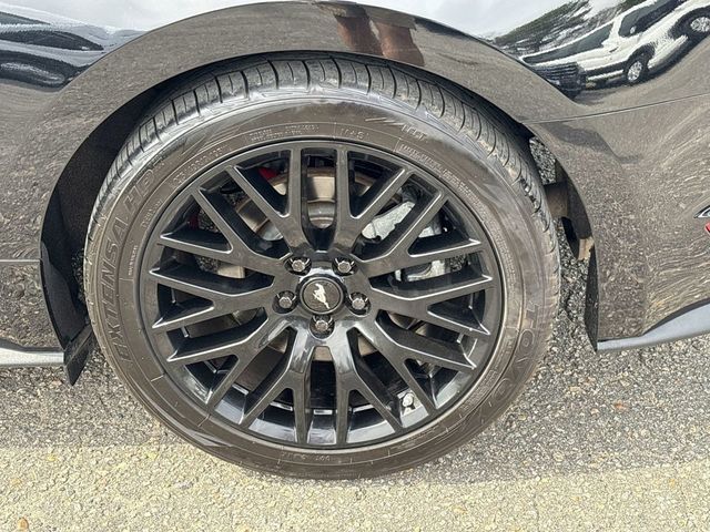 2021 Ford Mustang GT Fastback - 22752517 - 13