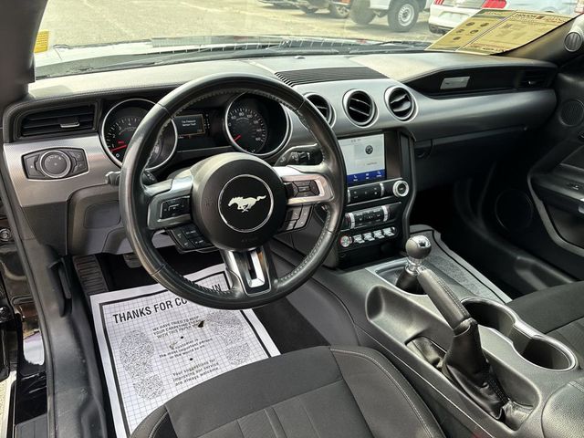 2021 Ford Mustang GT Fastback - 22752517 - 20