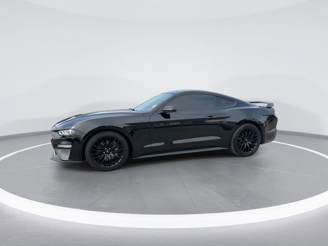 2021 Ford Mustang GT Fastback - 22752517 - 3