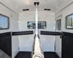 2021 Homesteader Stallion  - 22935241 - 6