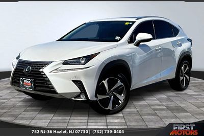 2021 Lexus NX 300's photo