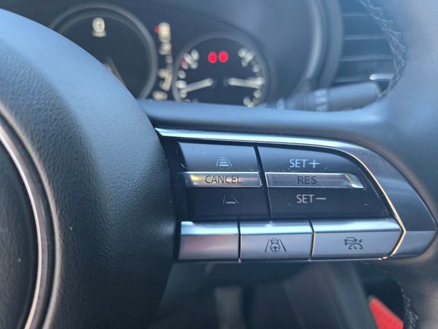2021 Mazda Mazda3 Hatchback 2.5 Turbo Premium Plus Automatic AWD - 22923805 - 24