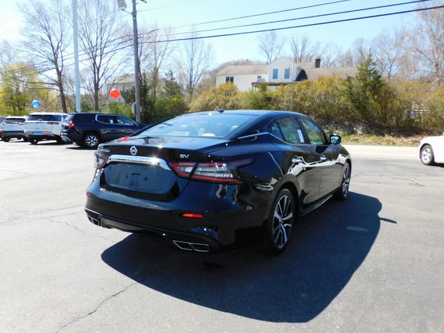 2021 Nissan Maxima 3.5 SV - 22297932 - 2