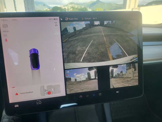 2021 Tesla Model 3 Standard Range Plus RWD - 22670685 - 20