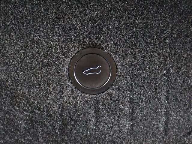 2021 Tesla Model S Plaid AWD - 22910773 - 51