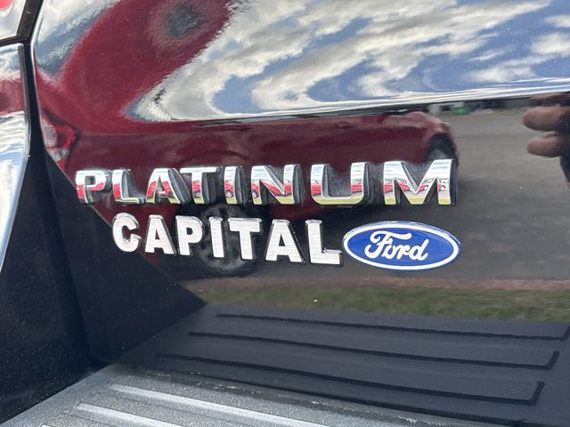 2022 Ford Expedition Platinum 4x4 - 22810364 - 13