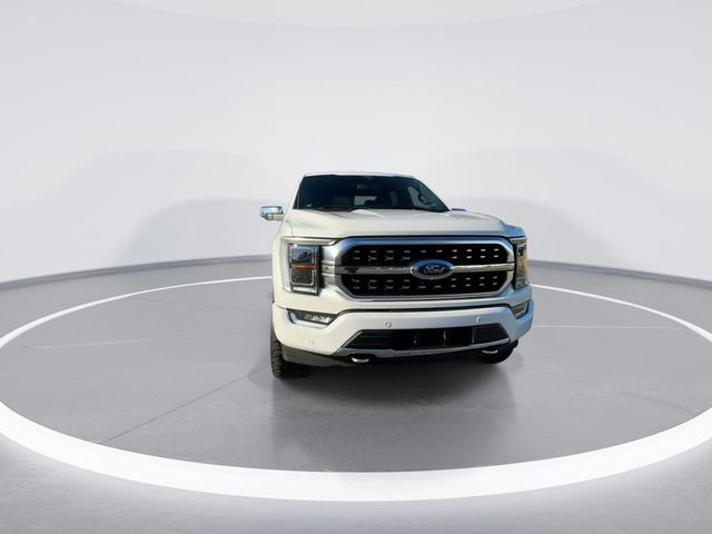 2022 Ford F-150  - 22731934 - 1