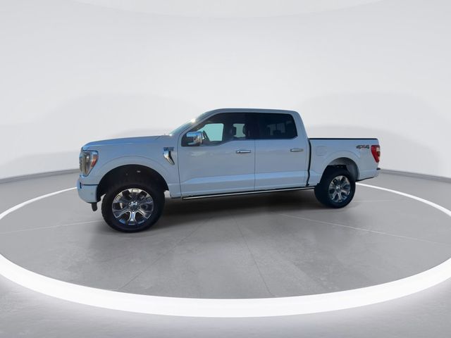 2022 Ford F-150  - 22731934 - 3