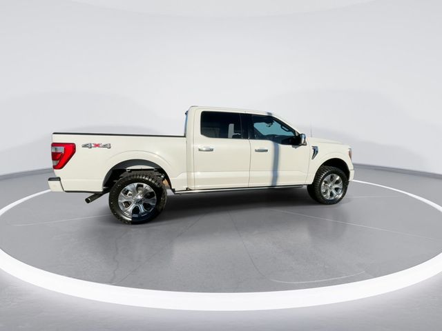 2022 Ford F-150  - 22731934 - 7