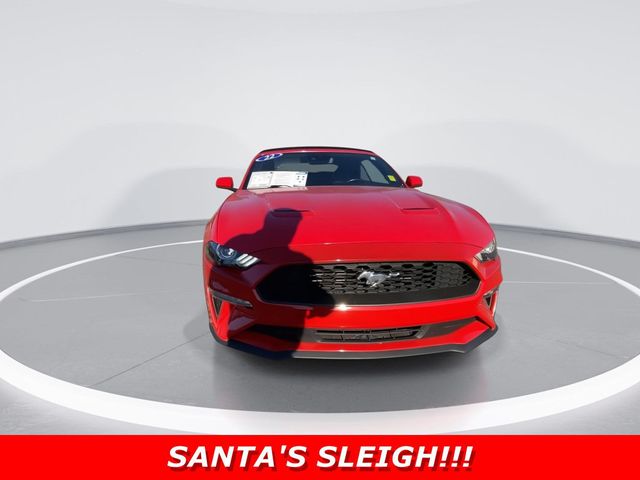 2022 Ford Mustang EcoBoost Convertible - 22823467 - 2
