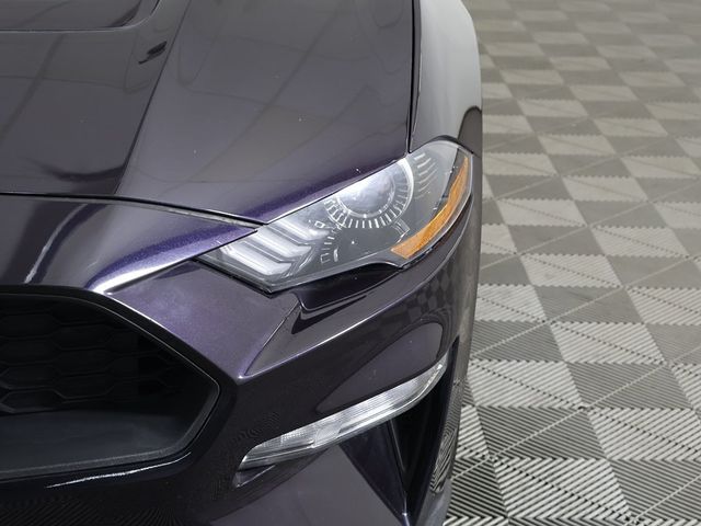 2022 Ford Mustang EcoBoost Fastback - 22933480 - 10