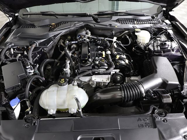 2022 Ford Mustang EcoBoost Fastback - 22933480 - 16