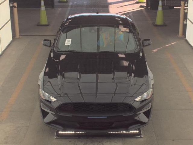 2022 Ford Mustang EcoBoost Fastback - 22933480 - 2