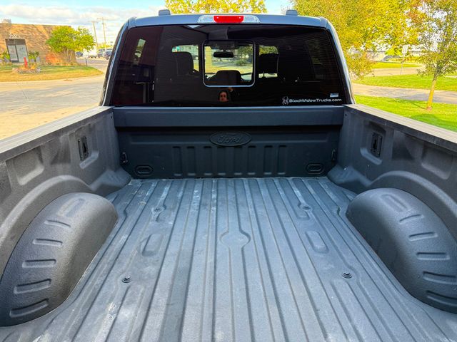 2022 Ford Super Duty F-250 SRW BLACK WIDOW F-250 SCA PERFORMANCE  - 22931149 - 12