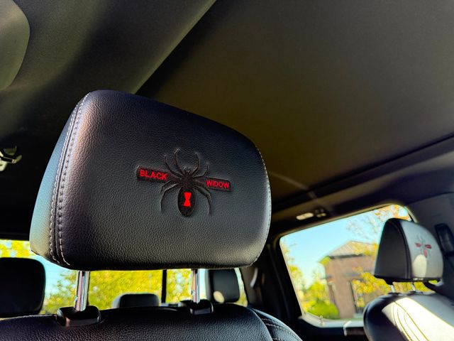 2022 Ford Super Duty F-250 SRW BLACK WIDOW F-250 SCA PERFORMANCE  - 22931149 - 60