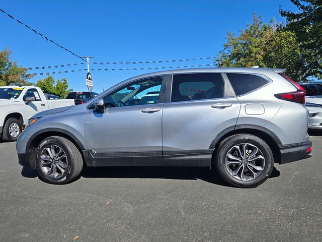 2022 Honda CR-V EX AWD - 22928563 - 6