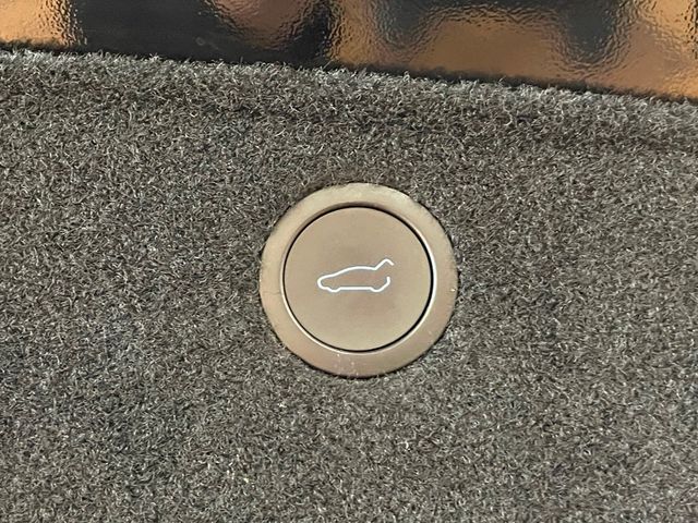 2022 Tesla Model X Plaid AWD - 22936560 - 25