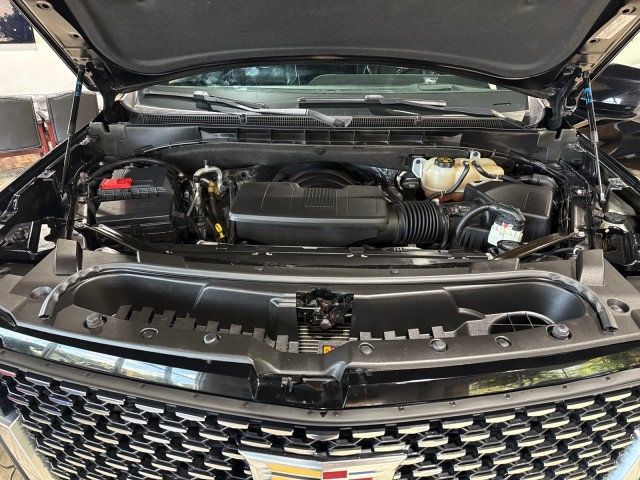 2023 Cadillac Escalade 4WD 4dr Premium Luxury - 22927018 - 14
