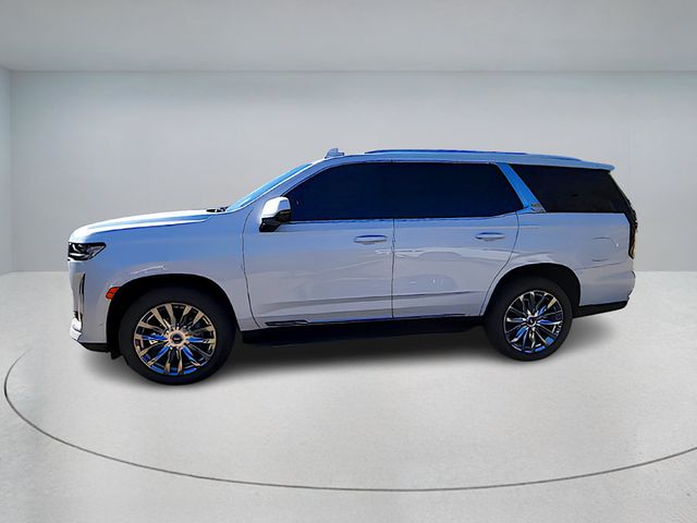 2023 Cadillac Escalade 4WD 4dr Premium Luxury with Performance & Touring Packages - 22935173 - 1