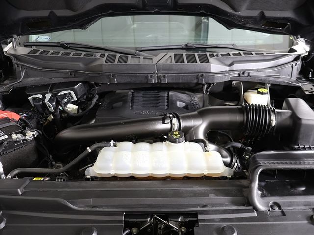 2023 Ford F-150  - 22935573 - 24