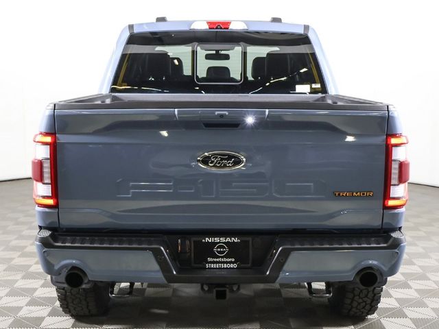 2023 Ford F-150 Tremor 4WD SuperCrew 5.5' Box - 22930754 - 15