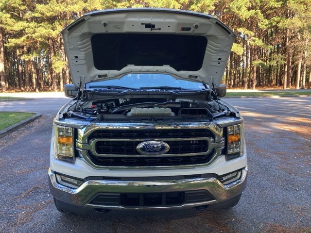 2023 Ford F-150 XLT - 22928907 - 19