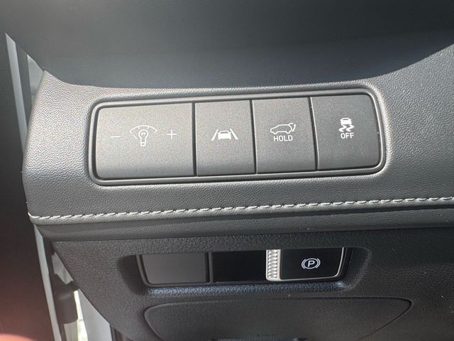 2023 Hyundai Santa Fe Limited - 22906061 - 19