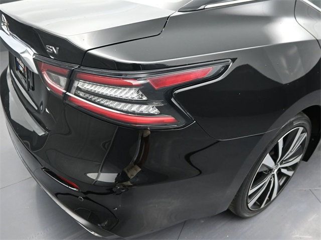 2023 Nissan Maxima SV CVT - 22901439 - 22