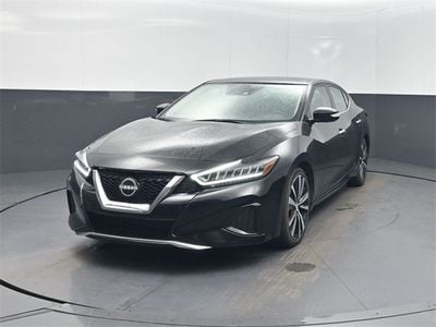 2023 Nissan Maxima SV's photo