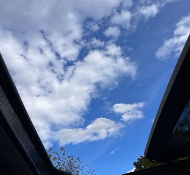 2024 Cadillac Escalade 4WD 4dr Sport - 22935594 - 18