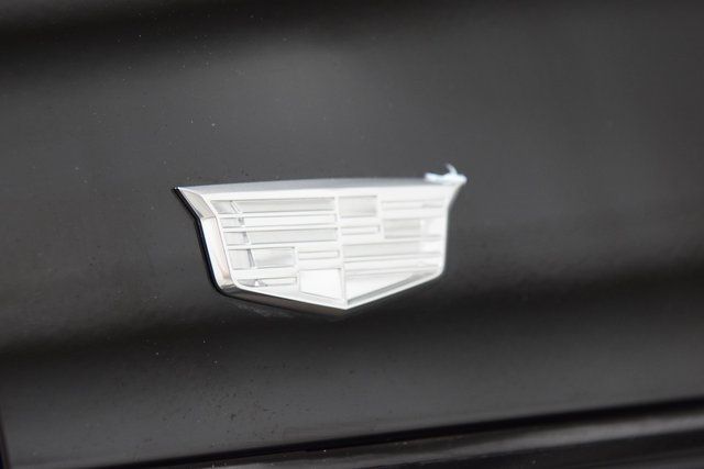 2024 Cadillac Escalade ESV 4WD 4dr Sport Platinum - 22885342 - 23