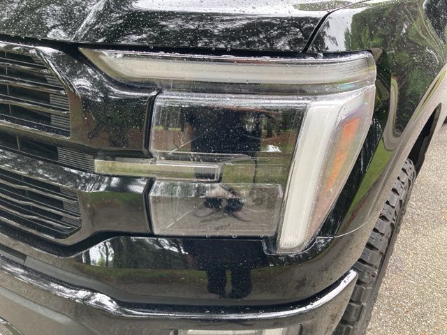 2024 Ford F-150 Platinum - 22930638 - 9