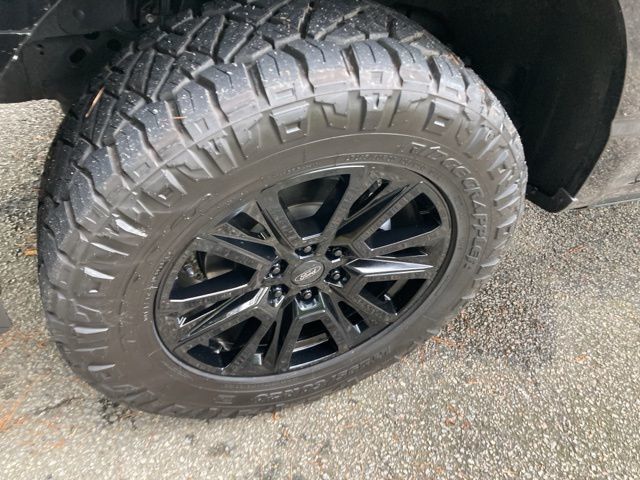 2024 Ford F-150 Platinum - 22930638 - 10