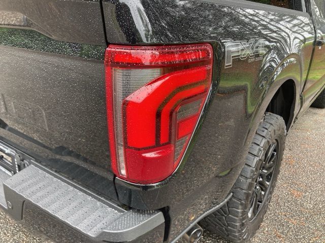 2024 Ford F-150 Platinum - 22930638 - 13