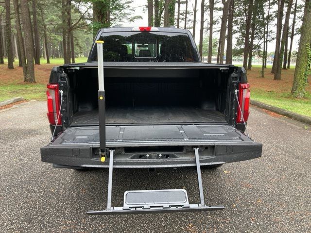 2024 Ford F-150 Platinum - 22930638 - 17
