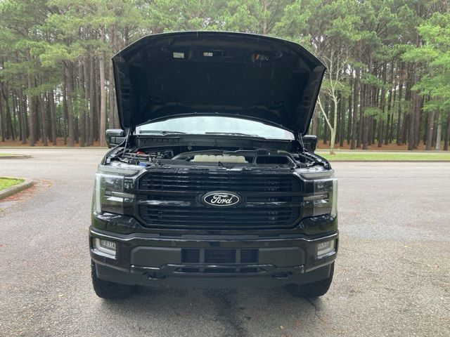 2024 Ford F-150 Platinum - 22930638 - 19