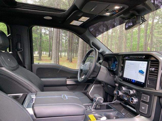 2024 Ford F-150 Platinum - 22930638 - 22