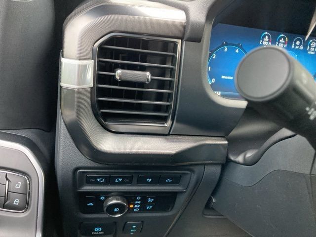 2024 Ford F-150 Platinum - 22930638 - 26