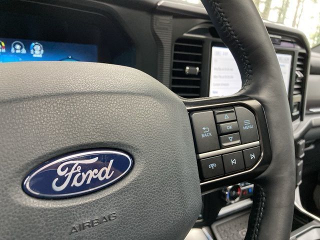2024 Ford F-150 Platinum - 22930638 - 28