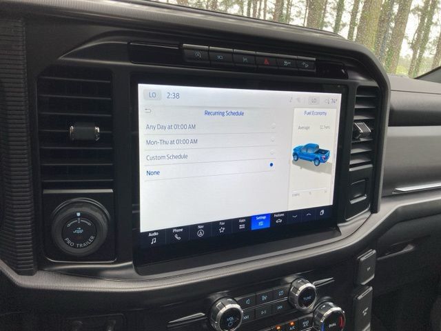 2024 Ford F-150 Platinum - 22930638 - 30