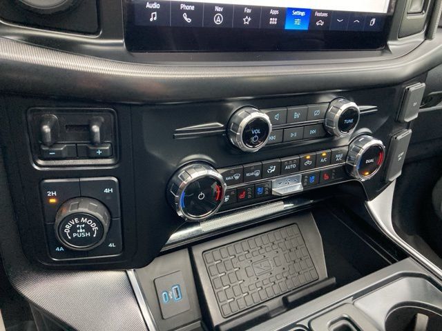 2024 Ford F-150 Platinum - 22930638 - 31