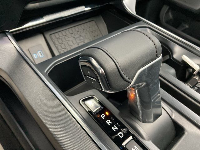 2024 Ford F-150 Platinum - 22930638 - 32