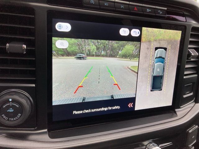 2024 Ford F-150 Platinum - 22930638 - 33