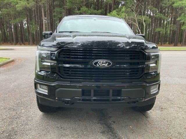 2024 Ford F-150 Platinum - 22930638 - 7