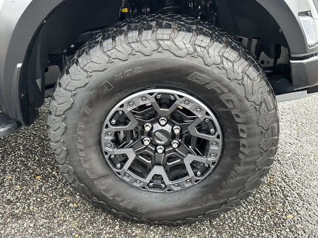 2024 Ford F-150 Raptor 4WD SuperCrew 5.5' Box - 22819337 - 11