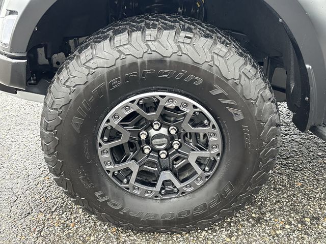 2024 Ford F-150 Raptor 4WD SuperCrew 5.5' Box - 22819337 - 12